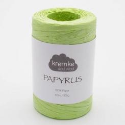 KREMKE Papyrus 59 africa