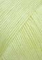morepic-4